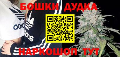 гидра Шебекино