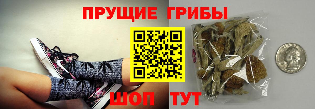 Бахчисарай  Галлюциногенные грибы GOLDEN TEACHER  Вход с VPN  Псилоцибиновые грибы мухоморы 