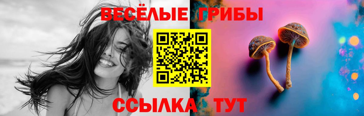 Галлюциногенные грибы Psilocybe Бахчисарай